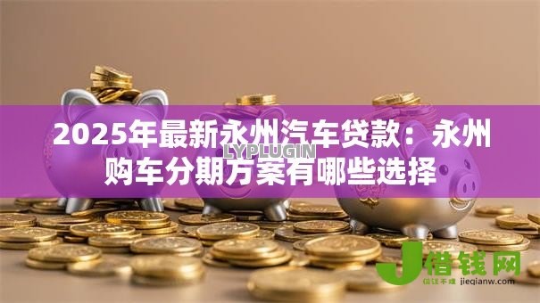 2025年最新永州汽车贷款：永州购车分期方案有哪些选择