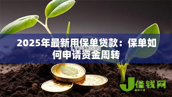 2025年最新用保单贷款:保单如何申请资金周转 2025年最新用保单贷款:保单如何申请资金周转