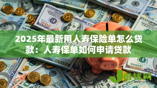 2025年最新用人寿保险单怎么贷款：人寿保单如何申请贷款