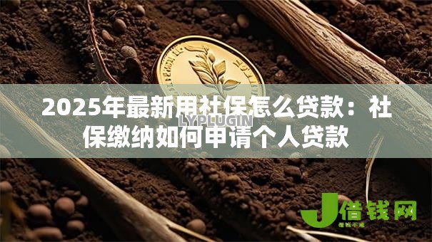 2025年最新用社保怎么贷款：社保缴纳如何申请个人贷款