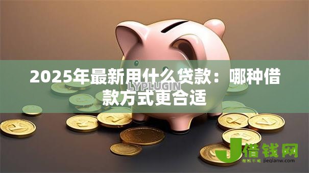 2025年最新用什么贷款:哪种借款方式更合适 2025年最新用什么贷款:哪种借款方式更合适
