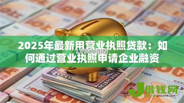 2025年最新用营业执照贷款：如何通过营业执照申请企业融资