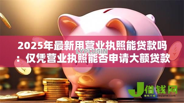 2025年最新用营业执照能贷款吗:仅凭营业执照能否申请大额贷款 2025年最新用营业执照能贷款吗:仅凭营业执照能否申请大额贷款