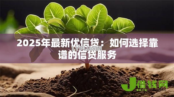 2025年最新优信贷：如何选择靠谱的信贷服务