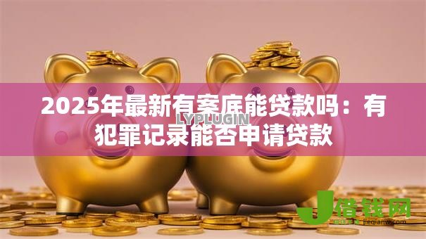 2025年最新有案底能贷款吗：有犯罪记录能否申请贷款