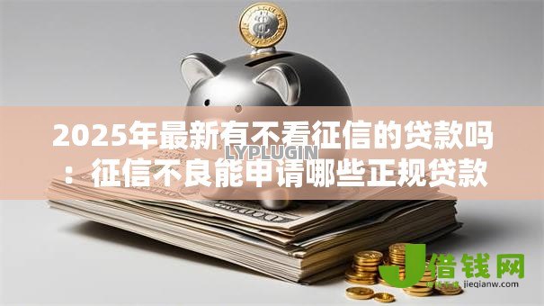 2025年最新有不看征信的贷款吗:征信不良能申请哪些正规贷款 2025年最新有不看征信的贷款吗:征信不良能申请哪些正规贷款
