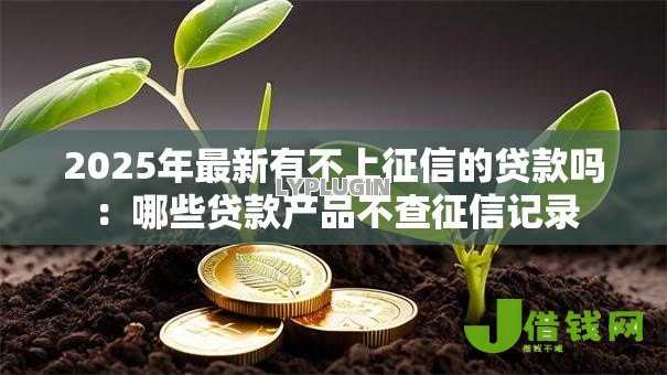 2025年最新有不上征信的贷款吗:哪些贷款产品不查征信记录 2025年最新有不上征信的贷款吗:哪些贷款产品不查征信记录