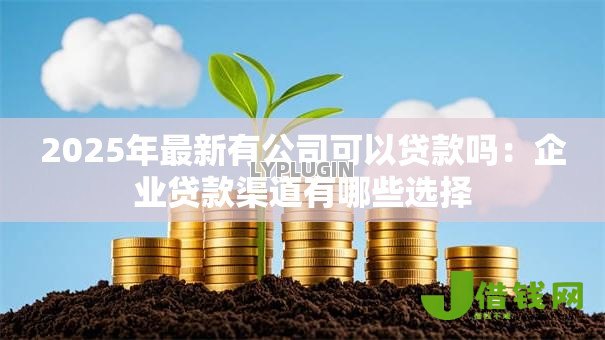 2025年最新有公司可以贷款吗:企业贷款渠道有哪些选择 2025年最新有公司可以贷款吗:企业贷款渠道有哪些选择