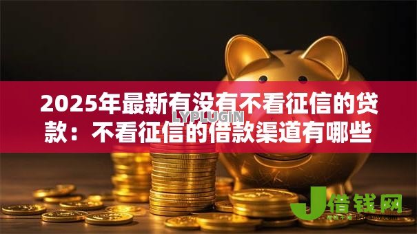 2025年最新有没有不看征信的贷款:不看征信的借款渠道有哪些 2025年最新有没有不看征信的贷款:不看征信的借款渠道有哪些