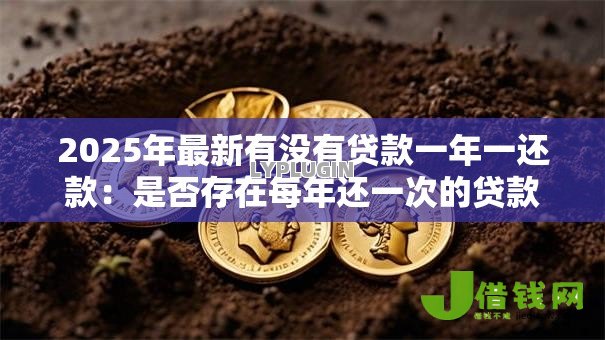 2025年最新有没有贷款一年一还款：是否存在每年还一次的贷款