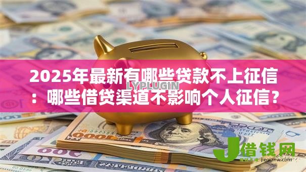 2025年最新有哪些贷款不上征信:哪些借贷渠道不影响个人征信? 2025年最新有哪些贷款不上征信:哪些借贷渠道不影响个人征信?