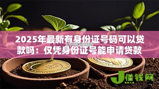 2025年最新有身份证号码可以贷款吗：仅凭身份证号能申请贷款吗