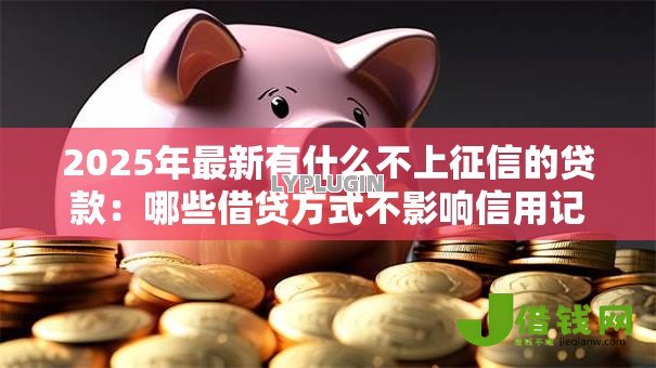 2025年最新有什么不上征信的贷款:哪些借贷方式不影响信用记录 2025年最新有什么不上征信的贷款:哪些借贷方式不影响信用记录