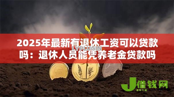 2025年最新有退休工资可以贷款吗:退休人员能凭养老金贷款吗 2025年最新有退休工资可以贷款吗:退休人员能凭养老金贷款吗