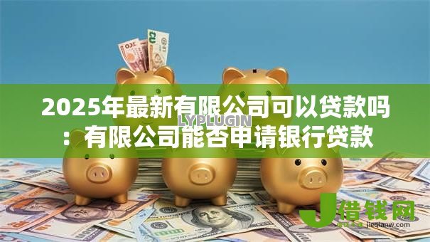 2025年最新有限公司可以贷款吗:有限公司能否申请银行贷款 2025年最新有限公司可以贷款吗:有限公司能否申请银行贷款