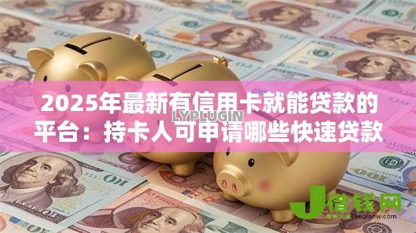 2025年最新有信用卡就能贷款的平台:持卡人可申请哪些快速贷款渠道 2025年最新有信用卡就能贷款的平台:持卡人可申请哪些快速贷款渠道