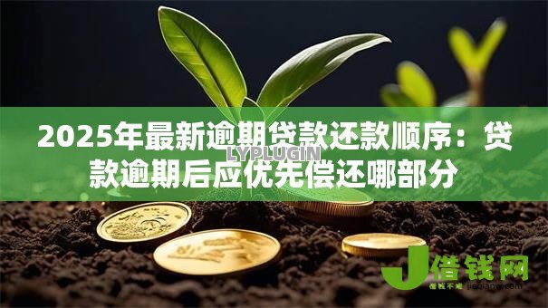 2025年最新逾期贷款还款顺序:贷款逾期后应优先偿还哪部分 2025年最新逾期贷款还款顺序:贷款逾期后应优先偿还哪部分