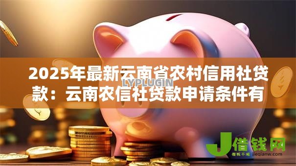 2025年最新云南省农村信用社贷款：云南农信社贷款申请条件有哪些