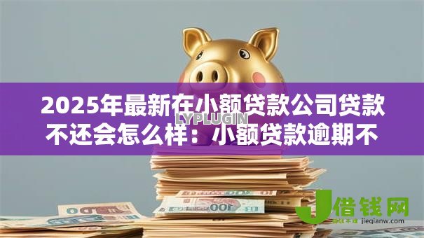 2025年最新在小额贷款公司贷款不还会怎么样:小额贷款逾期不还后果严重吗 2025年最新在小额贷款公司贷款不还会怎么样:小额贷款逾期不还后果严重吗