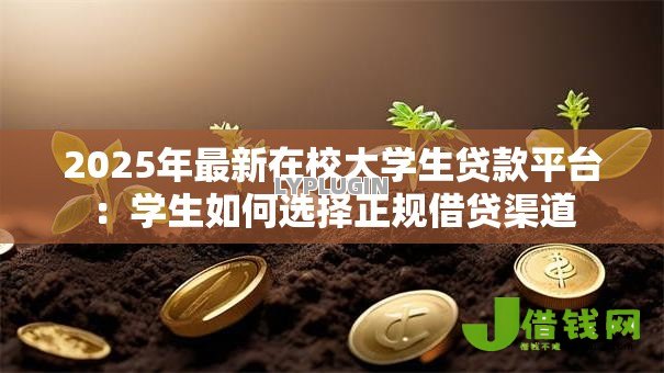 2025年最新在校大学生贷款平台:学生如何选择正规借贷渠道 2025年最新在校大学生贷款平台:学生如何选择正规借贷渠道