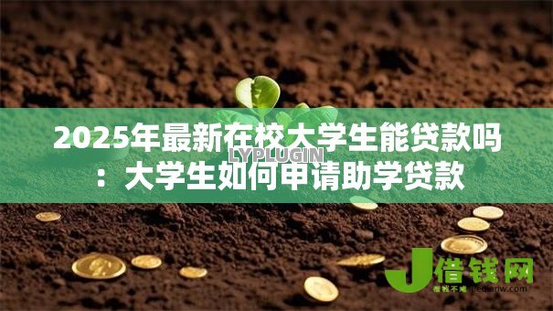 2025年最新在校大学生能贷款吗:大学生如何申请助学贷款 2025年最新在校大学生能贷款吗:大学生如何申请助学贷款