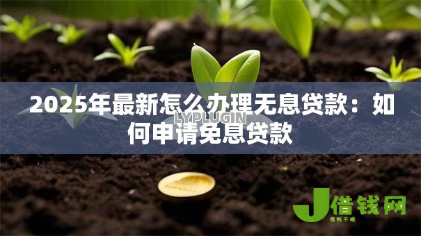 2025年最新怎么办理无息贷款:如何申请免息贷款 2025年最新怎么办理无息贷款:如何申请免息贷款