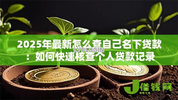 2025年最新怎么查自己名下贷款：如何快速核查个人贷款记录