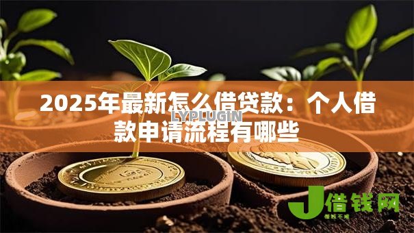 2025年最新怎么借贷款：个人借款申请流程有哪些