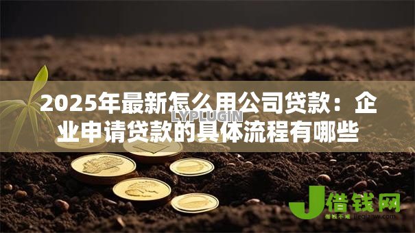 2025年最新怎么用公司贷款:企业申请贷款的具体流程有哪些 2025年最新怎么用公司贷款:企业申请贷款的具体流程有哪些