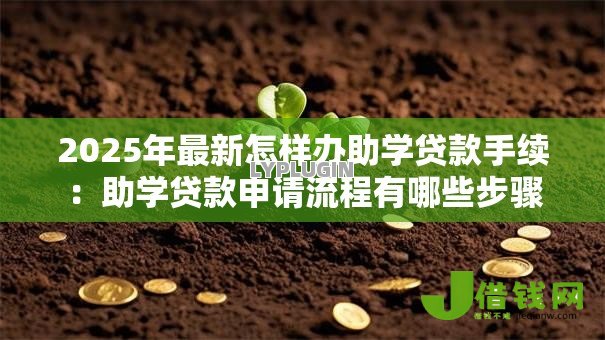 2025年最新怎样办助学贷款手续：助学贷款申请流程有哪些步骤