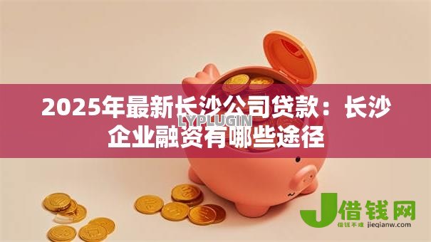 2025年最新长沙公司贷款:长沙企业融资有哪些途径 2025年最新长沙公司贷款:长沙企业融资有哪些途径