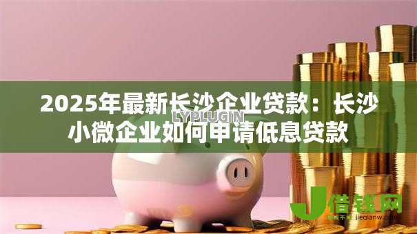 2025年最新长沙企业贷款:长沙小微企业如何申请低息贷款 2025年最新长沙企业贷款:长沙小微企业如何申请低息贷款