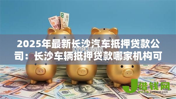 2025年最新长沙汽车抵押贷款公司：长沙车辆抵押贷款哪家机构可靠