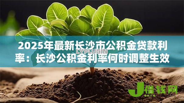 2025年最新长沙市公积金贷款利率:长沙公积金利率何时调整生效 2025年最新长沙市公积金贷款利率:长沙公积金利率何时调整生效