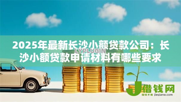 2025年最新长沙小额贷款公司：长沙小额贷款申请材料有哪些要求