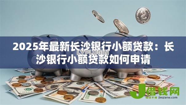 2025年最新长沙银行小额贷款：长沙银行小额贷款如何申请
