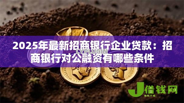 2025年最新招商银行企业贷款:招商银行对公融资有哪些条件 2025年最新招商银行企业贷款:招商银行对公融资有哪些条件