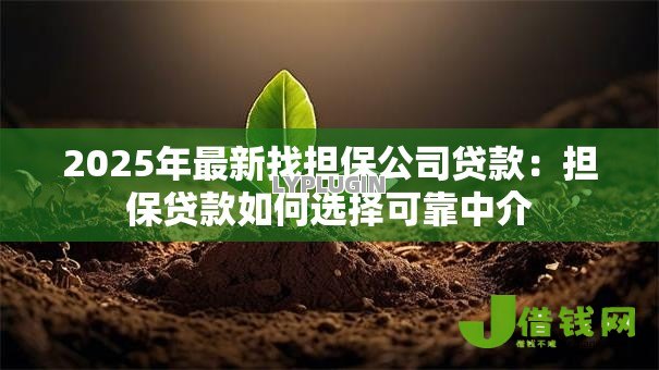 2025年最新找担保公司贷款:担保贷款如何选择可靠中介 2025年最新找担保公司贷款:担保贷款如何选择可靠中介