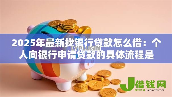 2025年最新找银行贷款怎么借：个人向银行申请贷款的具体流程是什么