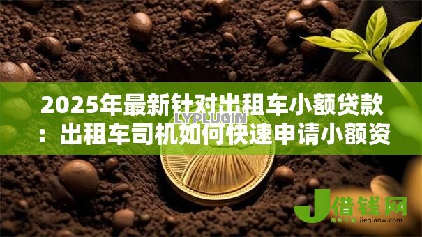 2025年最新针对出租车小额贷款:出租车司机如何快速申请小额资金周转 2025年最新针对出租车小额贷款:出租车司机如何快速申请小额资金周转