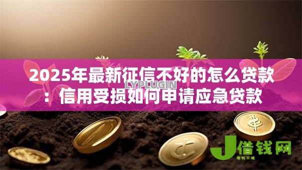 2025年最新征信不好的怎么贷款:信用受损如何申请应急贷款 2025年最新征信不好的怎么贷款:信用受损如何申请应急贷款