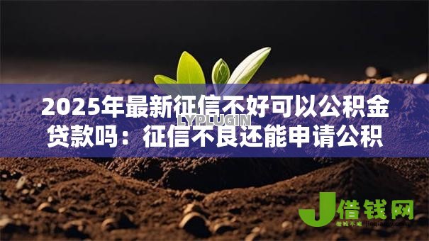 2025年最新征信不好可以公积金贷款吗:征信不良还能申请公积金贷款吗 2025年最新征信不好可以公积金贷款吗:征信不良还能申请公积金贷款吗