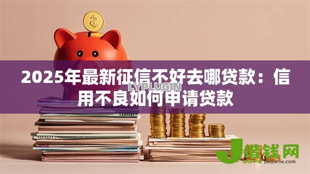 2025年最新征信不好去哪贷款：信用不良如何申请贷款