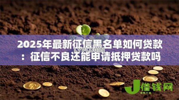2025年最新征信黑名单如何贷款：征信不良还能申请抵押贷款吗