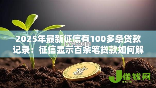 2025年最新征信有100多条贷款记录：征信显示百余笔贷款如何解读