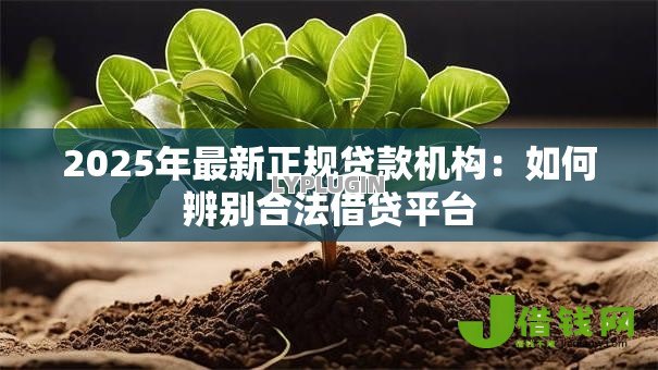 2025年最新正规贷款机构:如何辨别合法借贷平台 2025年最新正规贷款机构:如何辨别合法借贷平台