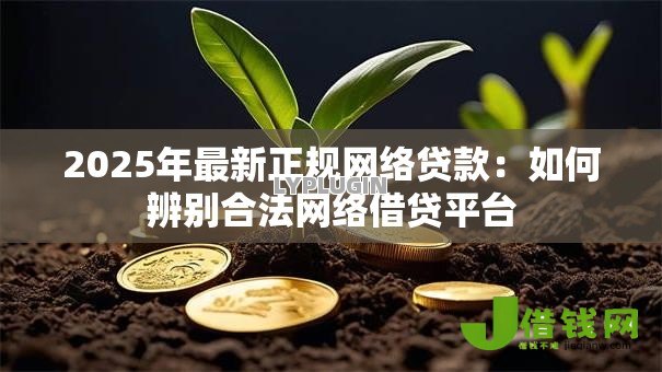 2025年最新正规网络贷款：如何辨别合法网络借贷平台