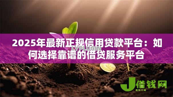 2025年最新正规信用贷款平台:如何选择靠谱的借贷服务平台 2025年最新正规信用贷款平台:如何选择靠谱的借贷服务平台