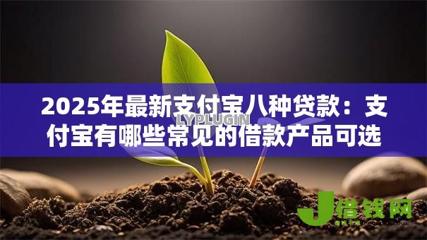 2025年最新支付宝八种贷款：支付宝有哪些常见的借款产品可选