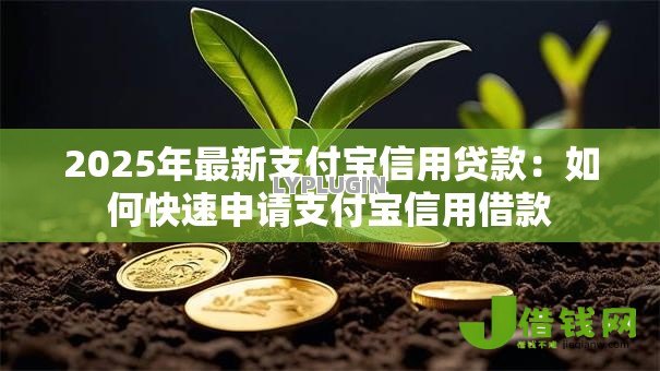 2025年最新支付宝信用贷款：如何快速申请支付宝信用借款